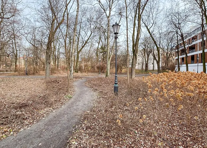 Yoga Zen, Z Tarasem I Widokiem Na Park Łódź