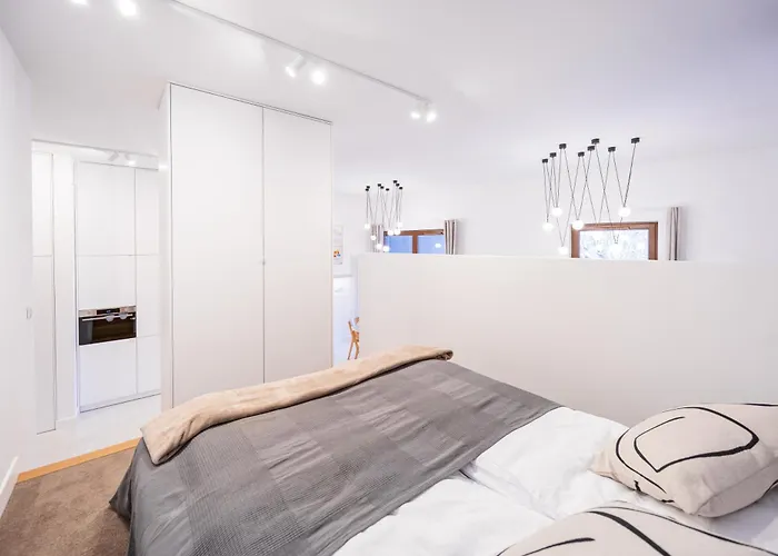 Yoga Zen, Z Tarasem I Widokiem Na Park Łódź