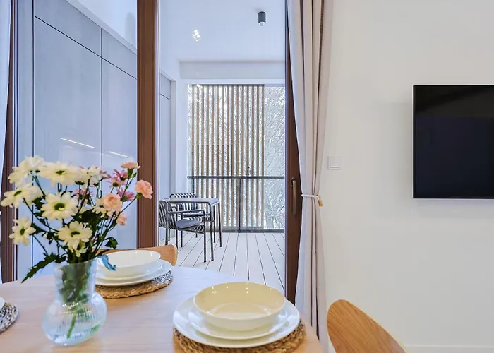 Yoga Zen, Z Tarasem I Widokiem Na Park